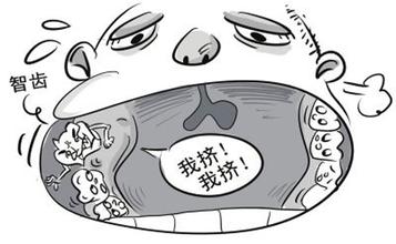 智齿